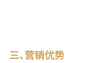 營(yíng)銷優(yōu)勢(shì)